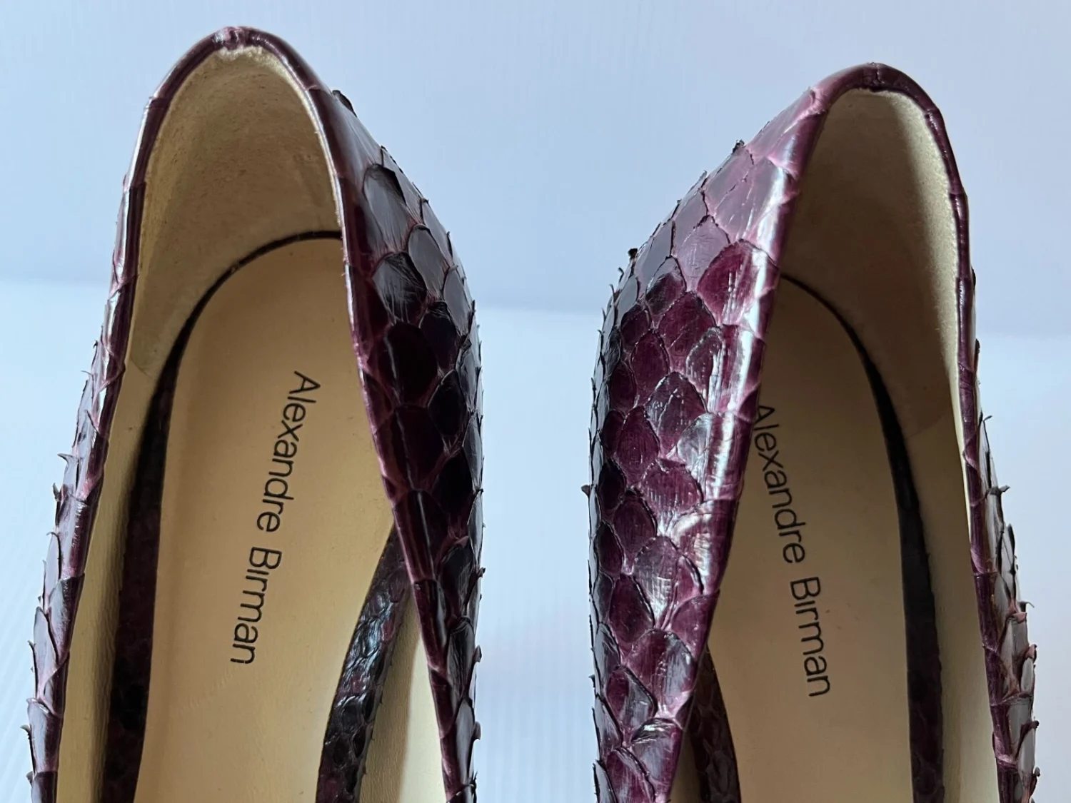 Alexandre Birman 紫色 Python 高跟鞋,尺寸 7(美国)-